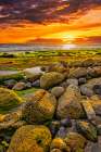 Bali sunset. Art Print
